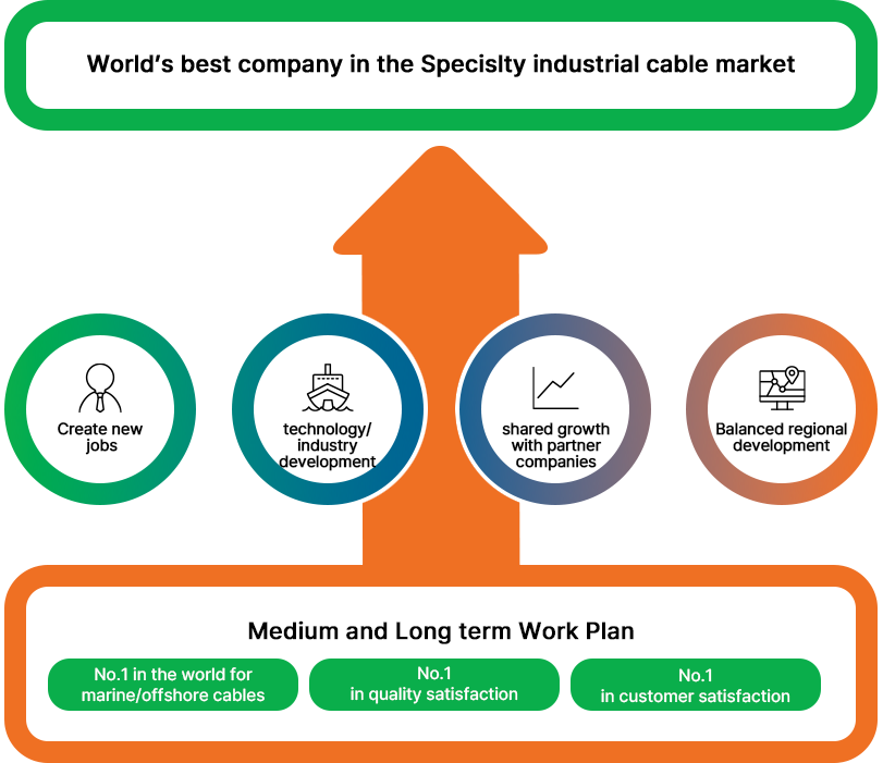 Medium and Long term Work Plan